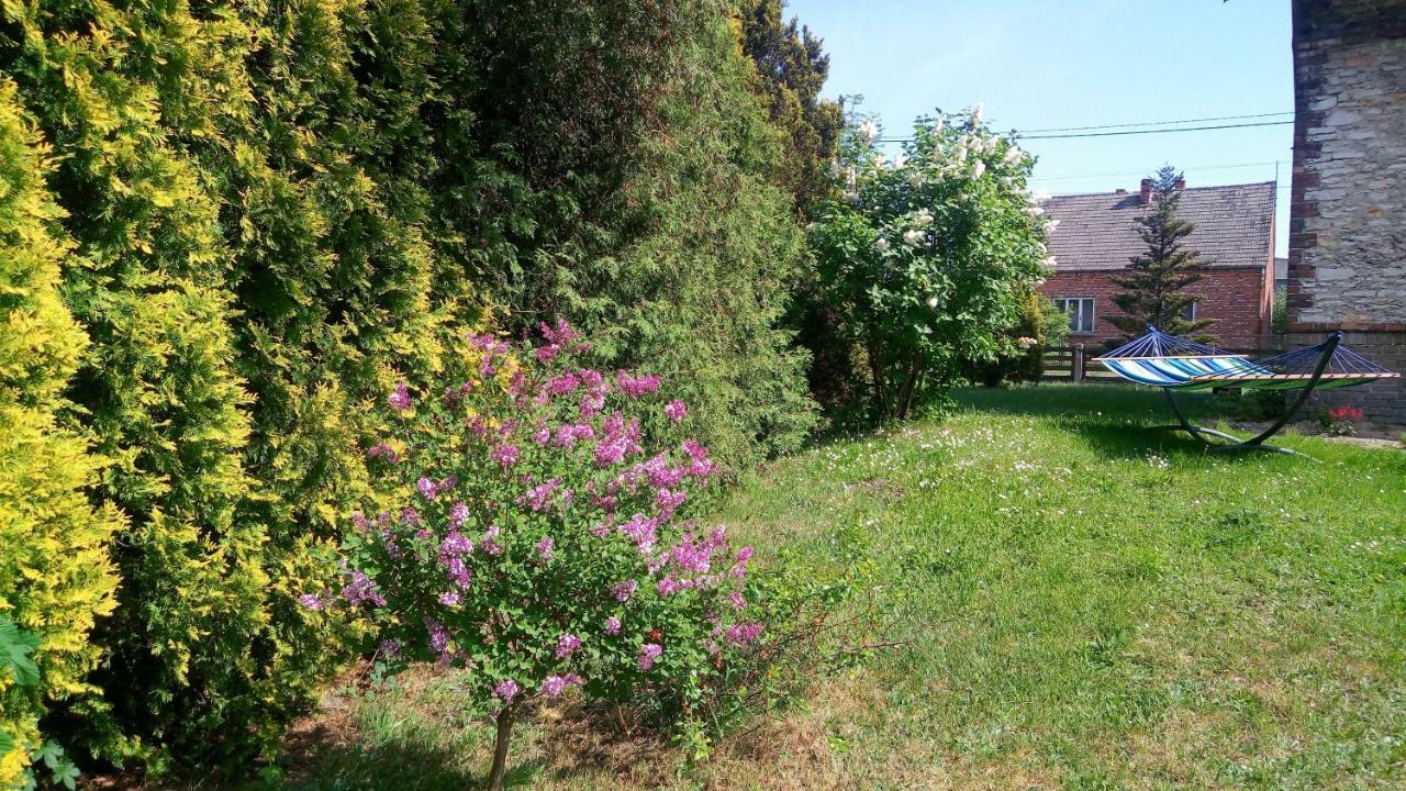 Apartmán Folwark Anna Kamienica Polska Exteriér fotografie